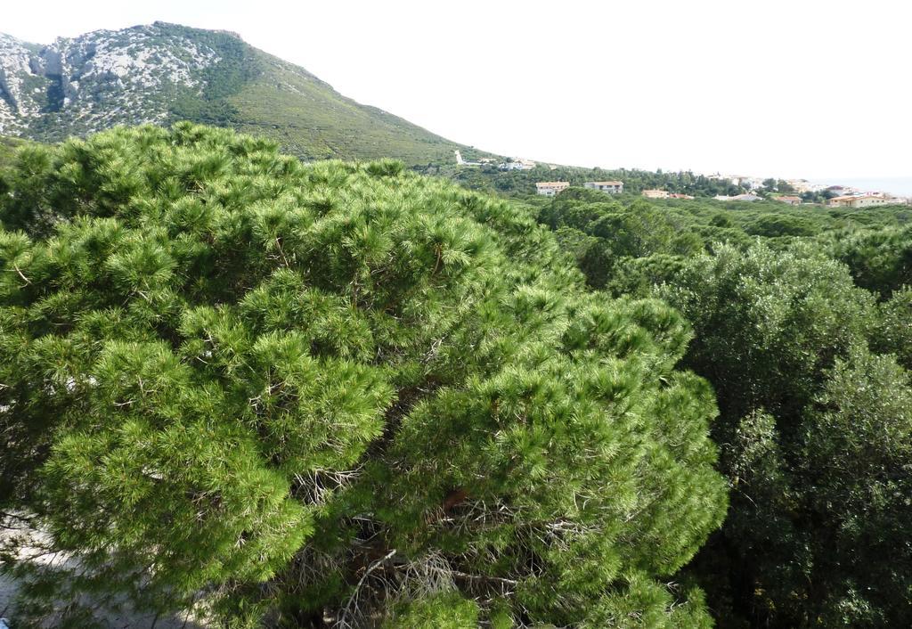 La bouganville Cala Gonone Extérieur photo