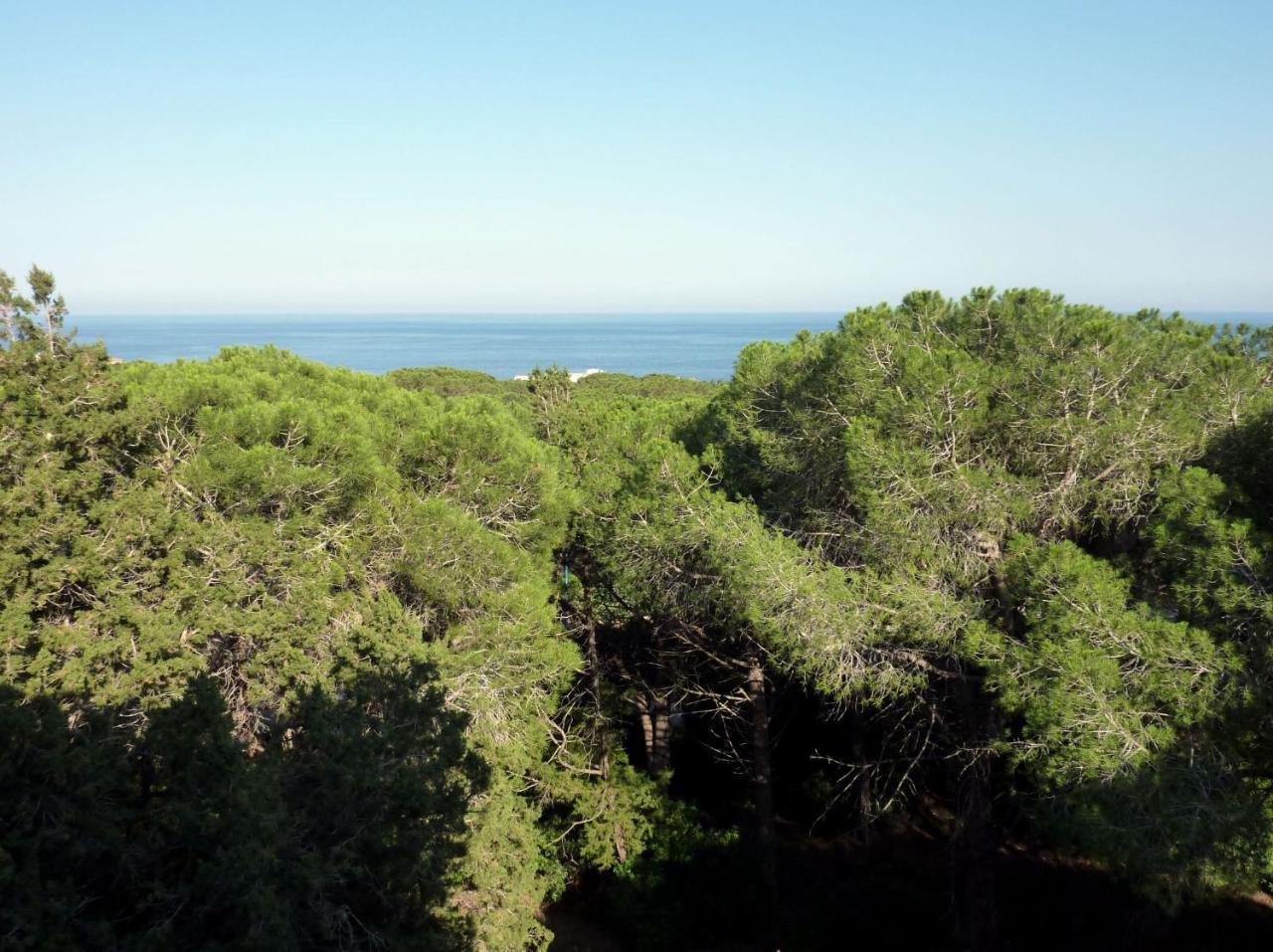 La bouganville Cala Gonone Extérieur photo